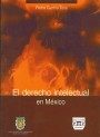 Portada de EL DERECHO INTELECTUAL EN M�XICO