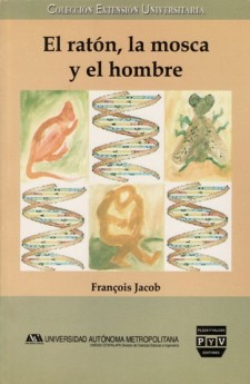 Ampliar portada