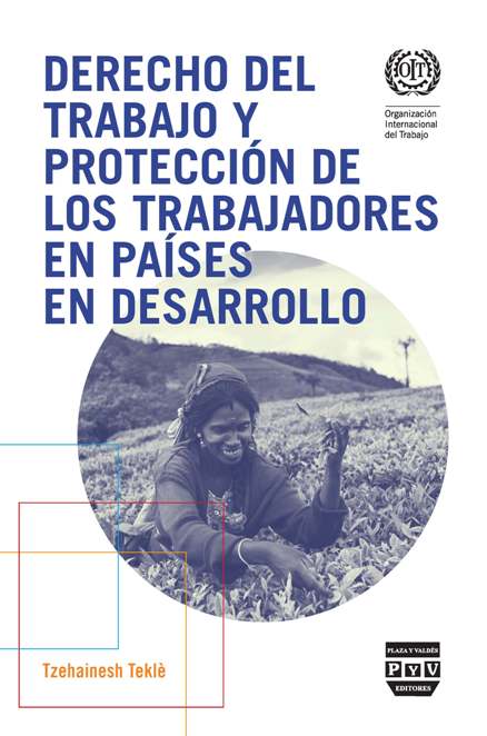 DERECHO DEL TRABAJO Y PROTECCIÓN DE LOS TRABAJADORES EN PAÍSES EN  DESARROLLO | Plaza y Valdés Editor...