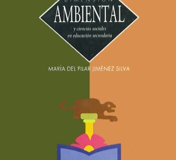 Portada de DIMENSION AMBIENTAL