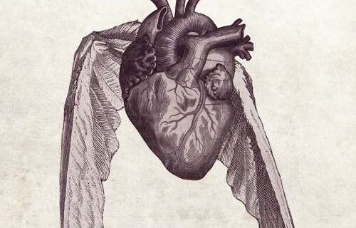 Portada de BIOÉTICA Y LITERATURA