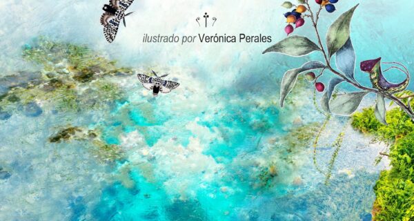 Portada de CLAVES ECOFEMINISTAS