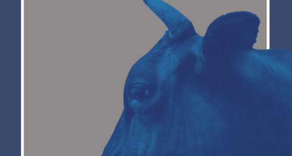 Portada de ANTITAUROPEDIA