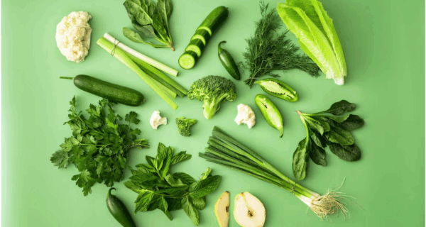 veganismo plaza y valdés