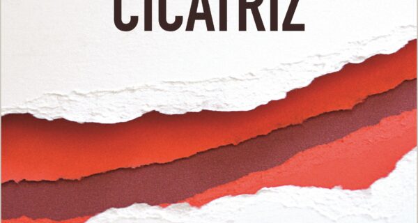 Portada de PERIODISMO HERIDO BUSCA CICATRIZ