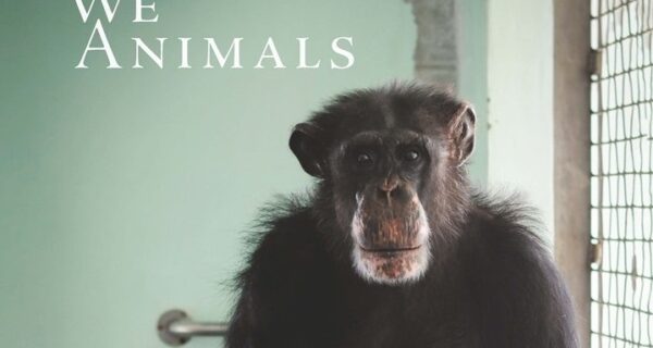 Portada de WE ANIMALS