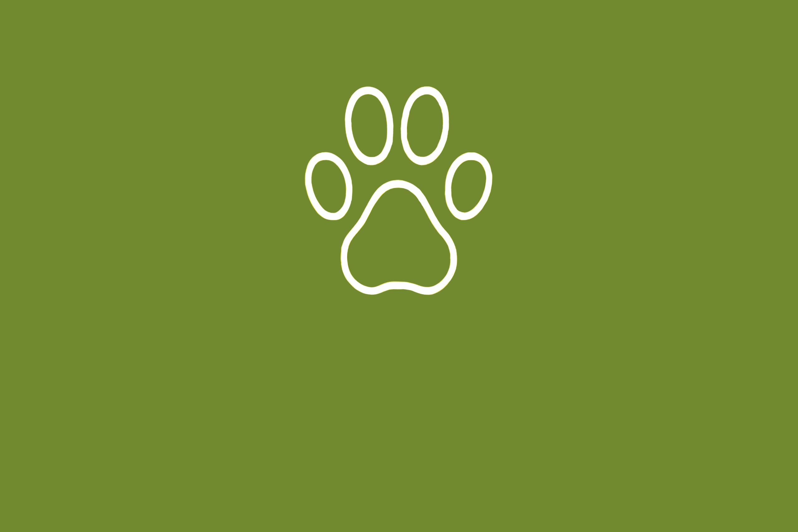 Animalismo